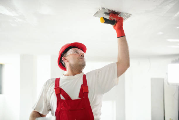 Best Fire-Damaged Drywall Repair  in South Waverly, PA